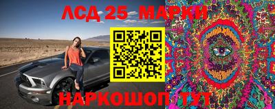 mdpv Краснодар