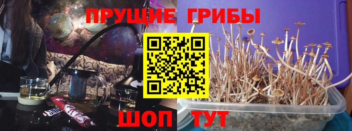 Галлюциногенные грибы ЛСД  Псилоцибиновые грибы мухоморы  Вход с VPN  Кимовск 