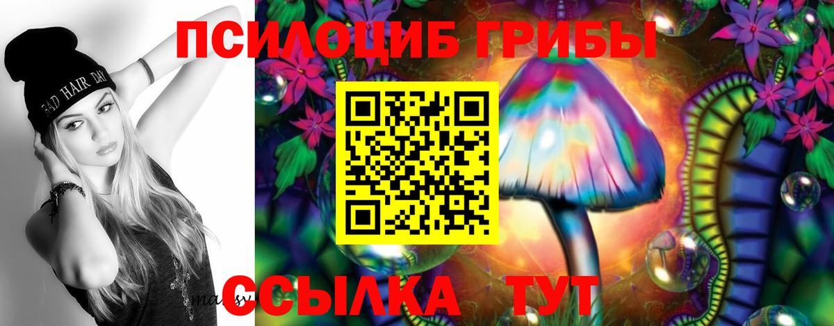 Псилоцибиновые грибы Psilocybe Кимовск